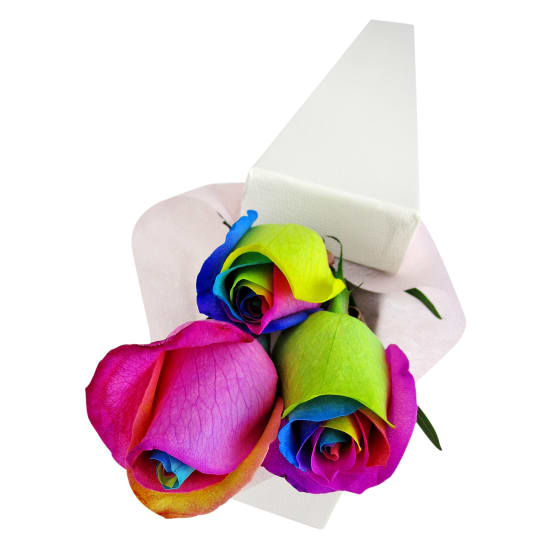 Rainbow Rose Trio - Standard