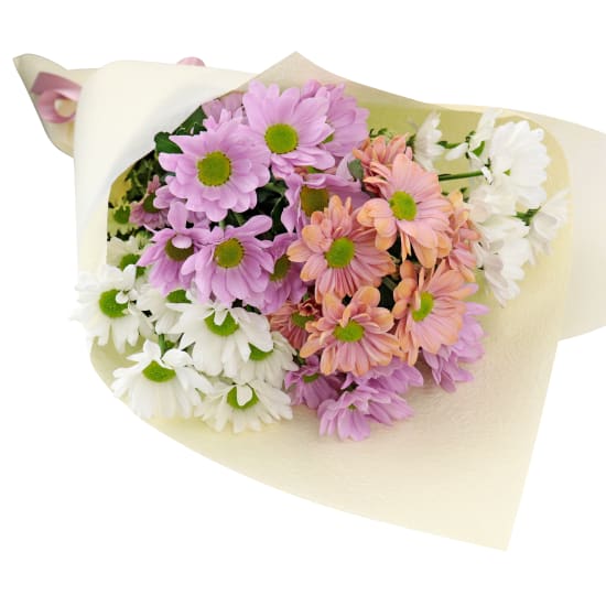 Mixed Pastels Chrysanthemum Bunch - Standard