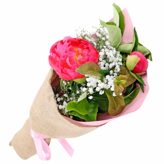 Popping Peonies - Standard