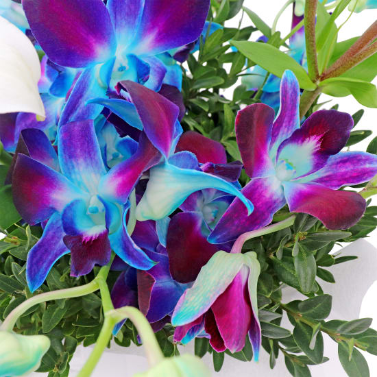 Blue Making Magic Posy Box - Premium