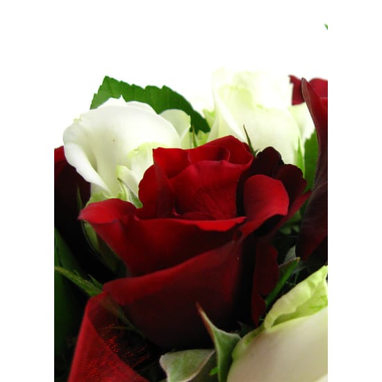 Rose Vase - Standard