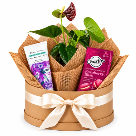 ❤️🌿 Heartfelt Blooms & Bliss Plant Hamper 🌿❤️ - Standard