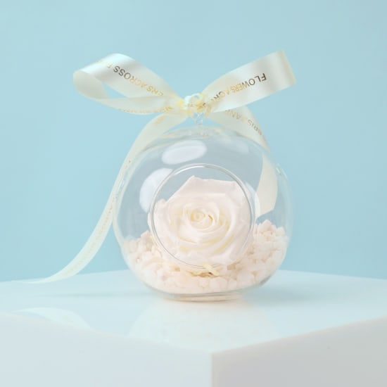 Preserved Orb - Standard