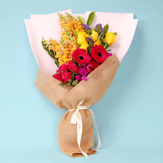 Pet Safe Radiant Botanicals - Standard