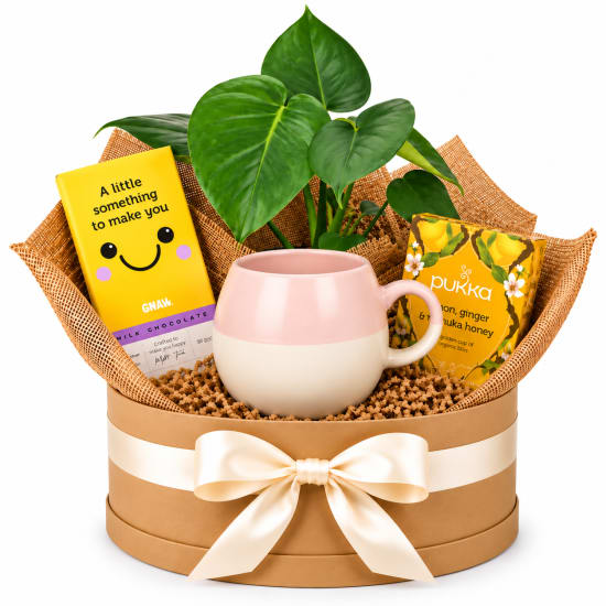 🌿💗 Monstera & Sweet Smiles Plant Hamper 💗🌿 - Standard