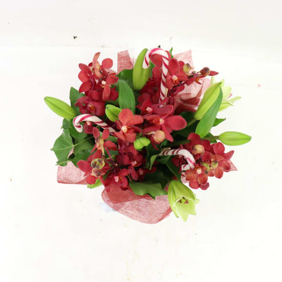 Making Xmas Magic Red & White - Standard