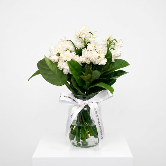 Sweet Jonquil Jar - Standard (view 2 of 4)