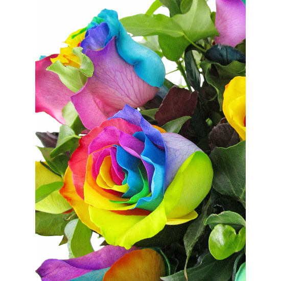 All The Pretty Colours - Standard