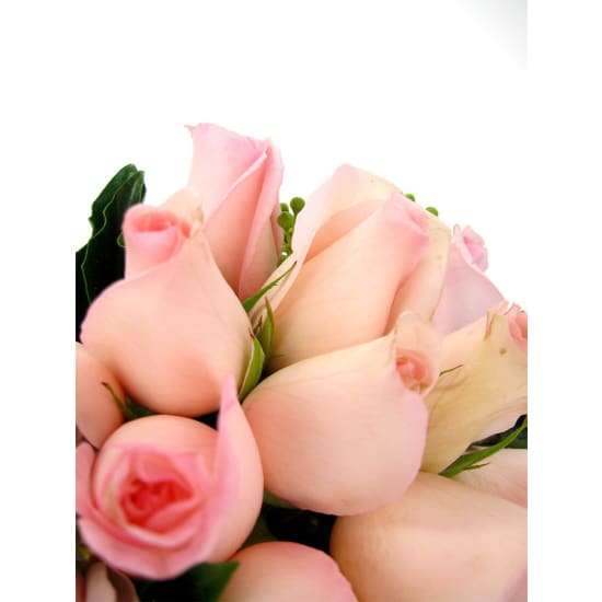 Pink Rose Vase - Standard