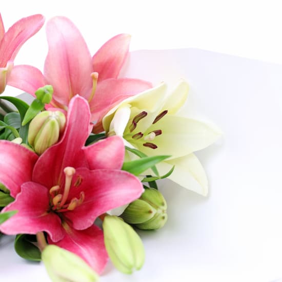 Mixed Pastel Lily Bunch - Standard