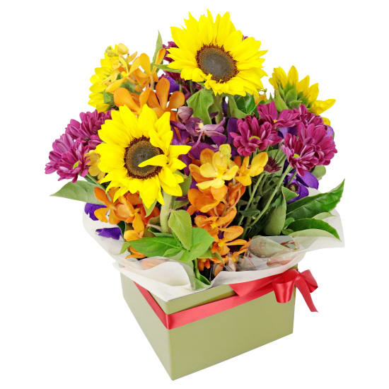 Radiant Bright Flower Box - Standard