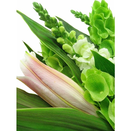 Fond Farewell - Standard