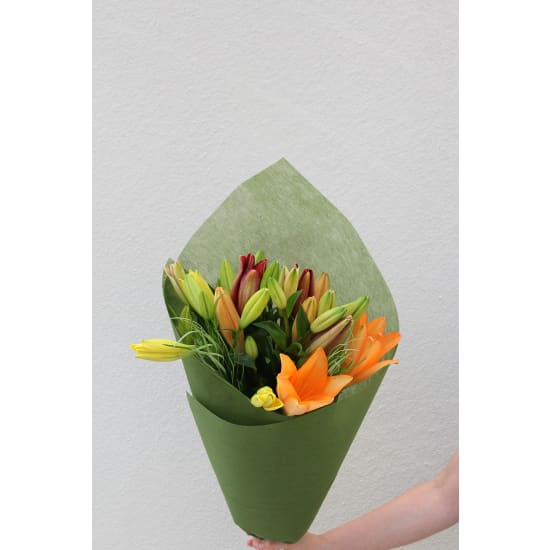 Lily Bunch - Deluxe