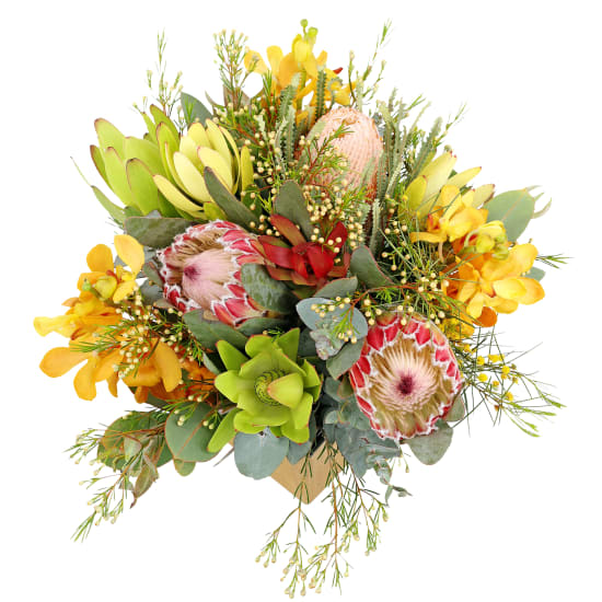 It's Only Natural - Standard