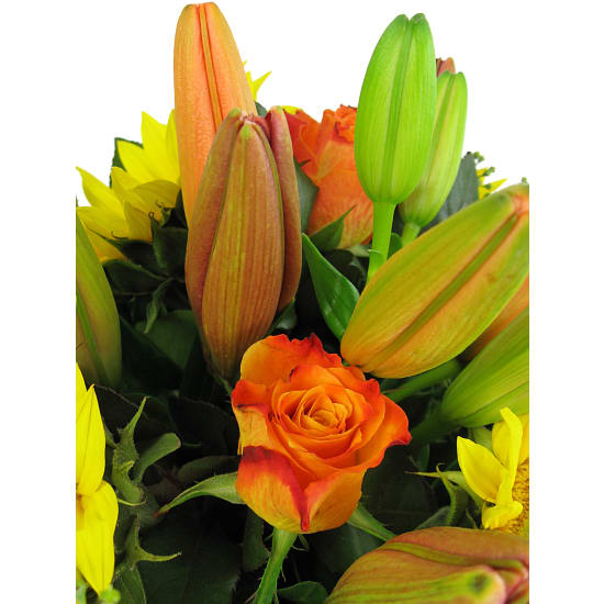 Splendours Of The Season - Standard