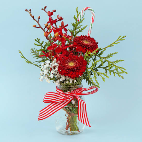 Red Festive Mason Jar - Standard