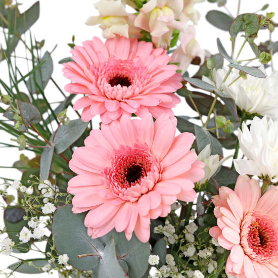 Little Garden Mason Jar Vase - Standard