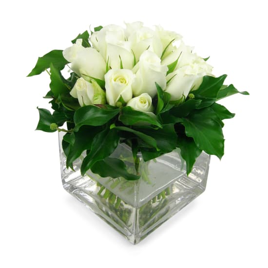 White Rose Vase - Standard