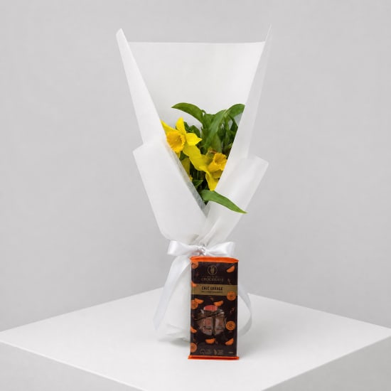 Daily Bouquet - Sunlit stems and chocolate citrus - Standard