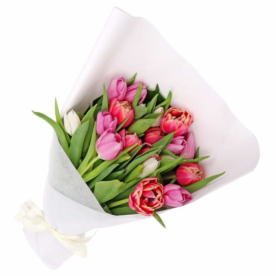 Mixed Pastels Tulip Bunch - Deluxe