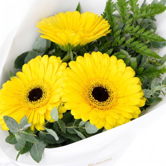 Gerbera Gems Posy - Standard (view 4 of 4)