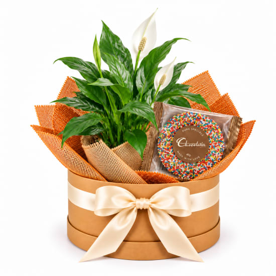 🤍🍫 Peace Lily & Sweet Moments 🍫🤍 - Standard