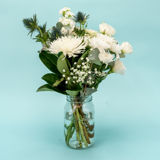 Pretty Picture - Standard