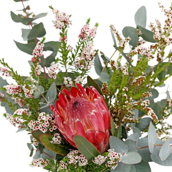 Pretty Protea Jar - Standard