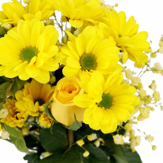 Sunny Delight Mason Jar - Standard