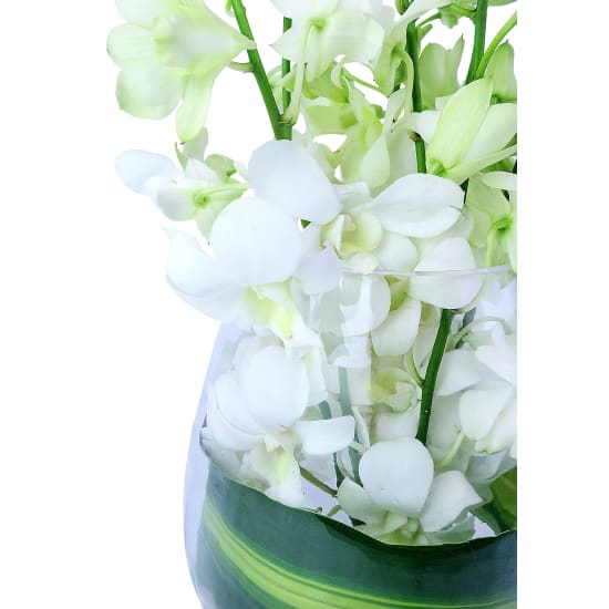 White Elegant Orchid Vase Arrangement - Standard