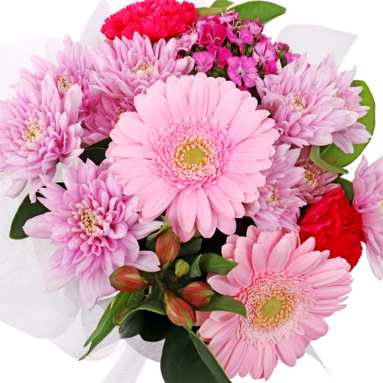 Mums Day Pink Florist Choice - Standard