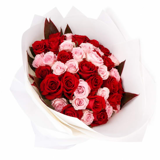 50 Rose Grandeur - Standard