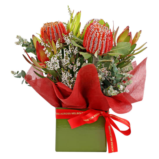 Brilliantly Natives Box - Standard