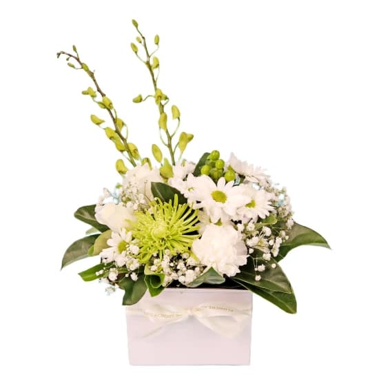 Florist Choice White Mini Box - Deluxe