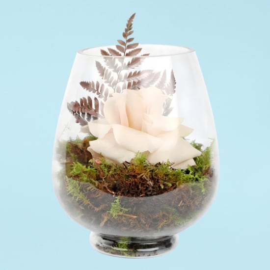 Enchanting Mushroom Vase Arrangement - Standard