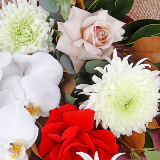 Big Blooms Beautiful Flower Bouquet - Standard