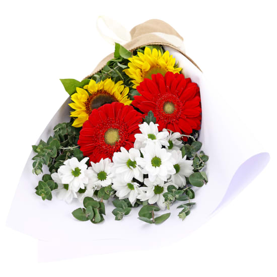 Hello There Bunch - Deluxe