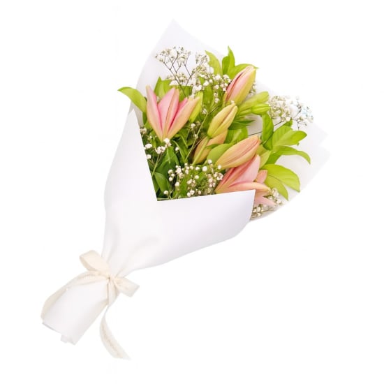 Lily Love  - Standard