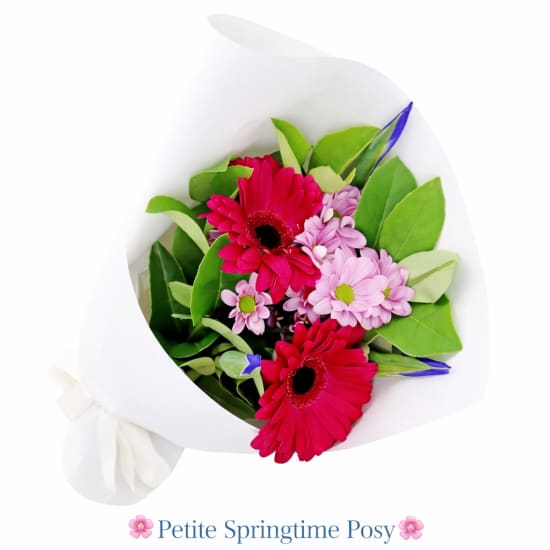 Petite Springtime Posy - Standard