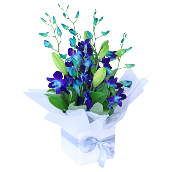 Blue Making Magic Posy Box - Standard