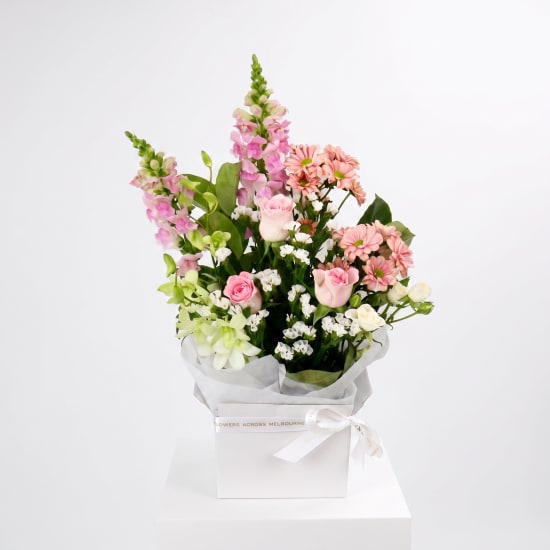 Colourburst Bloom Box - Standard