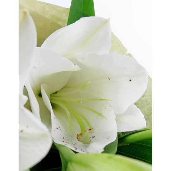 White Lily Bunch - Standard