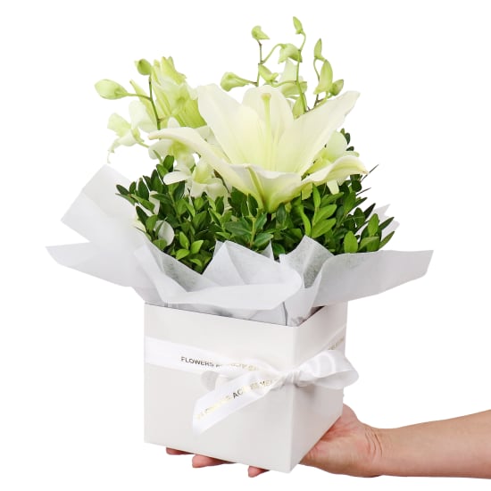 White Making Magic Posy Box - Standard