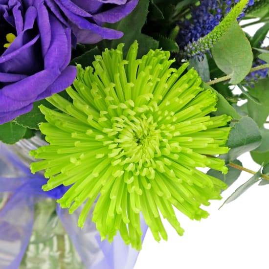 Unconventional - Deluxe