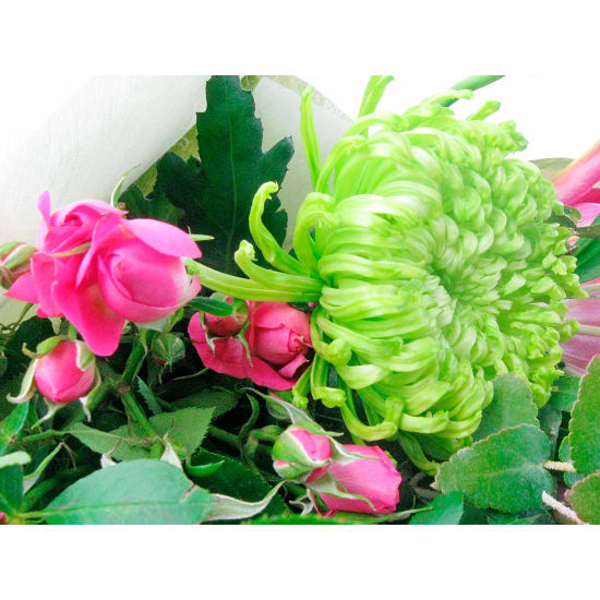 Magnetic Bouquet – Bold & Beautiful Blooms - Standard