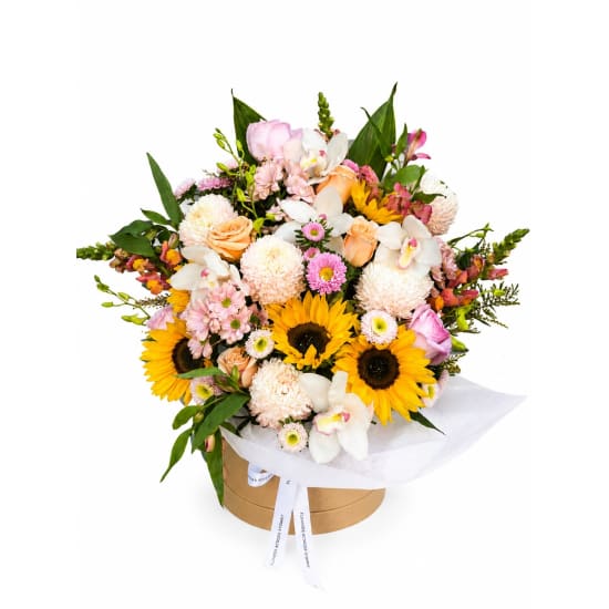 Sunrise Spritz - Standard