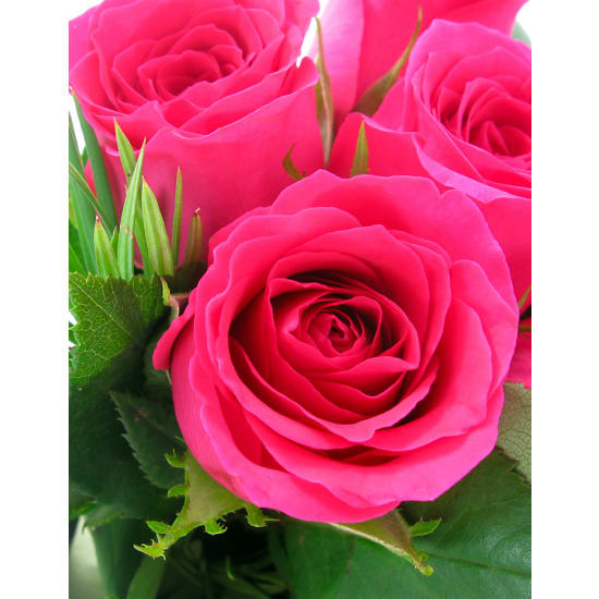 Bright Pink Rose Vase - Deluxe
