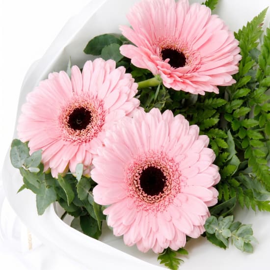 Gerbera Gems Posy - Standard (view 4 of 4)