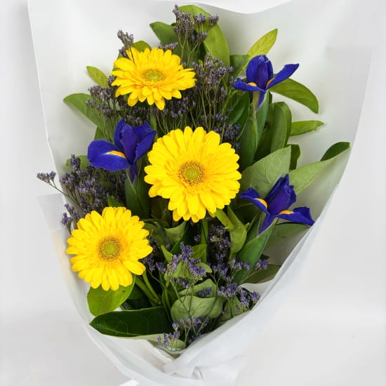 Daily Bouquet Radiant Iris Symphony - Standard