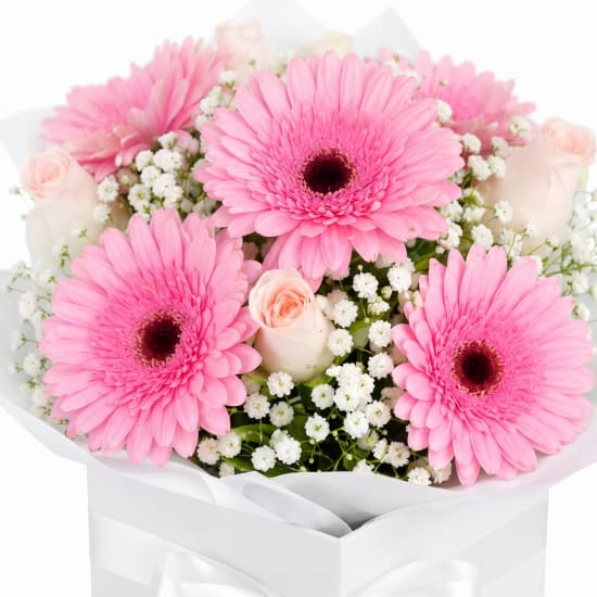 Pretty In Pink - Standard